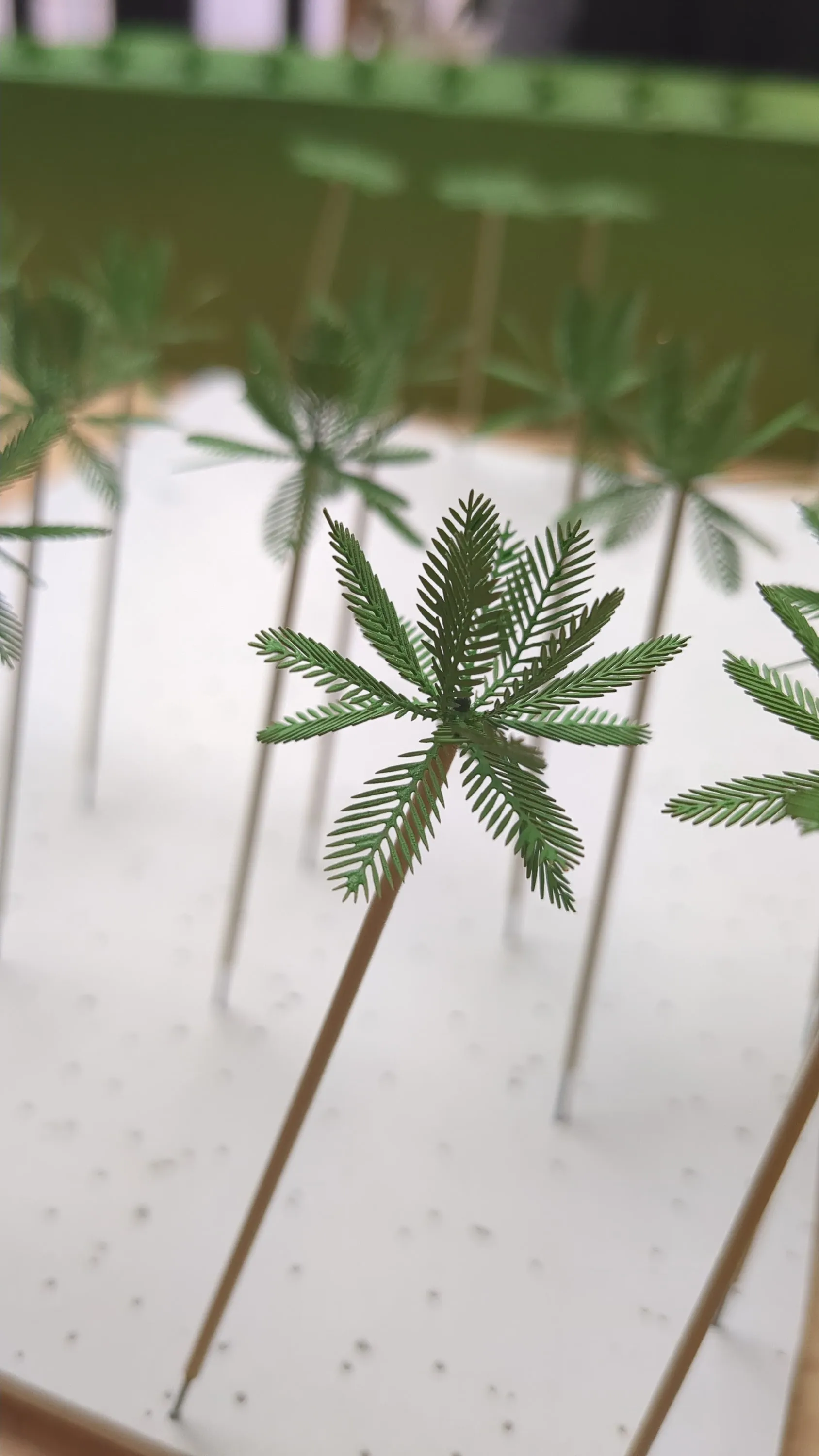 Scale model trees, photo 2